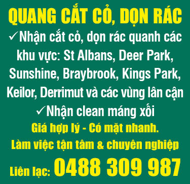 Quang Cắt Cỏ