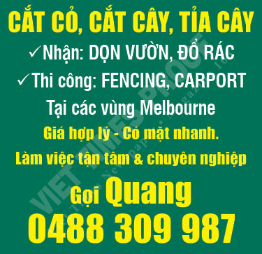 Quang Cắt Cỏ